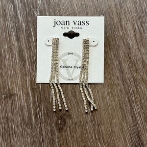 Joan Vass Silver Crystal Fringe Earrings
